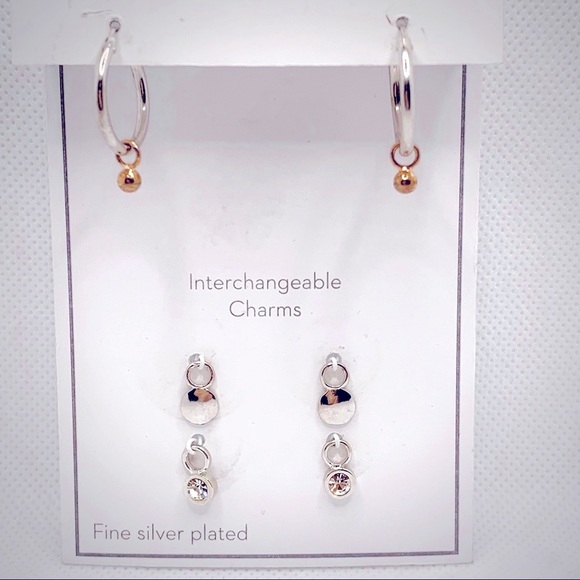 Gold and Silver Interchangeable Earrings Set with Charms - Picture 2 of 8